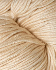 Modern Cotton Dk