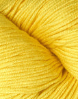 Modern Cotton Dk