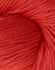 Modern Cotton Dk