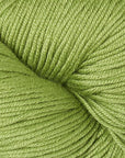 Modern Cotton Dk