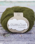 Cumulus