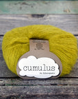 Cumulus