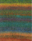 Colorissimo