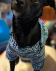 Knit a Dog Sweater in 4 parts, 9/29- 10/27 Monday 6-7:30 pm