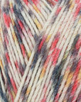 Signature 4 ply