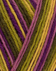Signature 4 ply