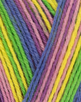 Signature 4 ply