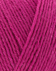 Signature 4 ply
