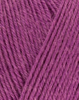 Signature 4 ply