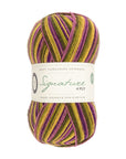 Signature 4 ply