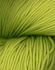 Plymouth Worsted Merino Superwash