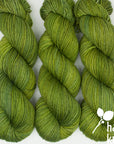 Lively DK