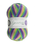 Signature 4 ply