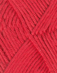 Coastal Cotton