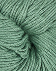 Modern Cotton Dk