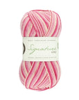 Signature 4 ply