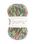 Signature 4 ply