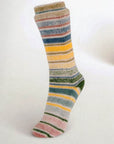 Summer Socks