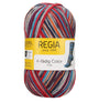 Regia Folkloric Color 4-ply