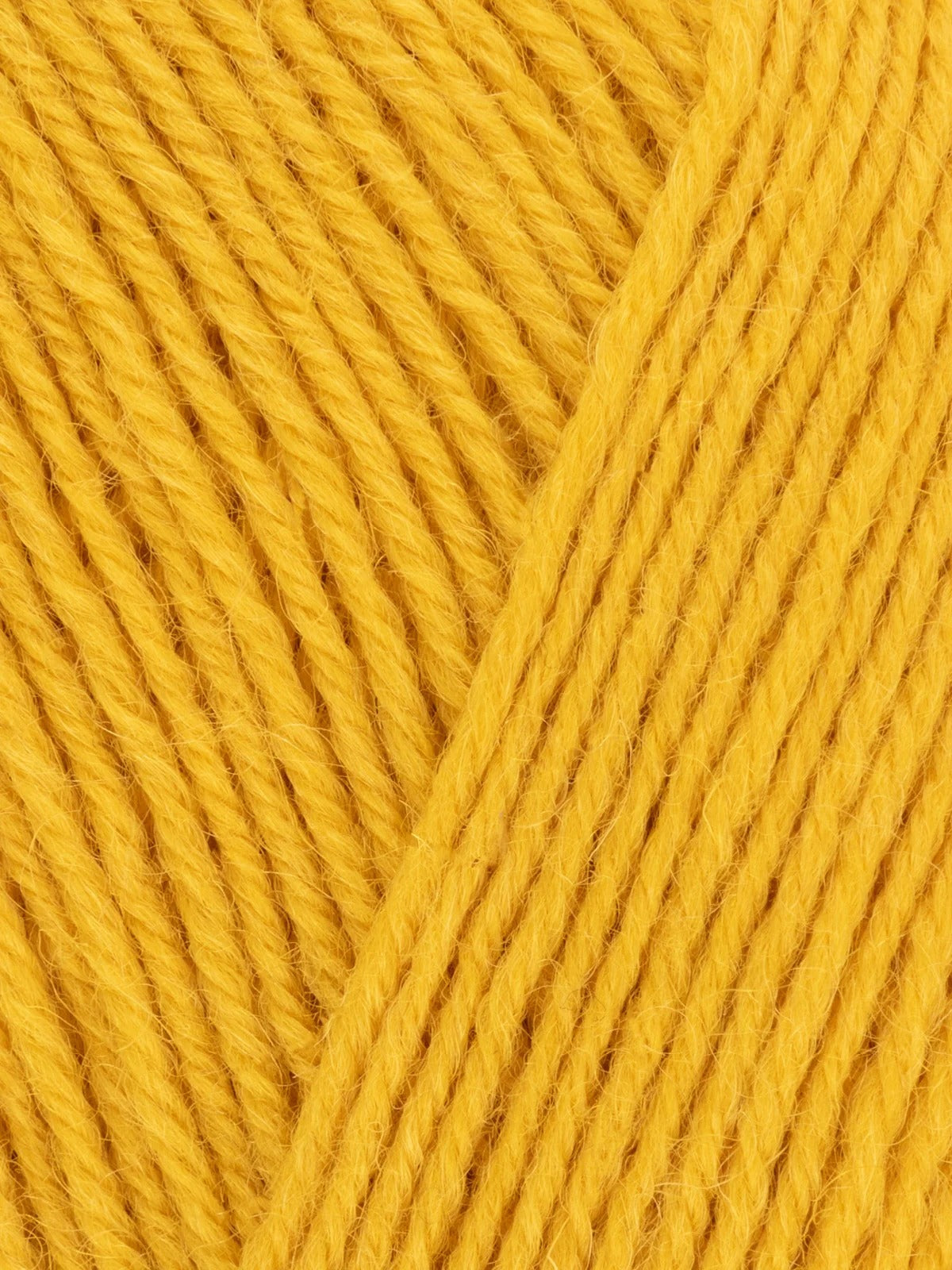 Signature 4 ply