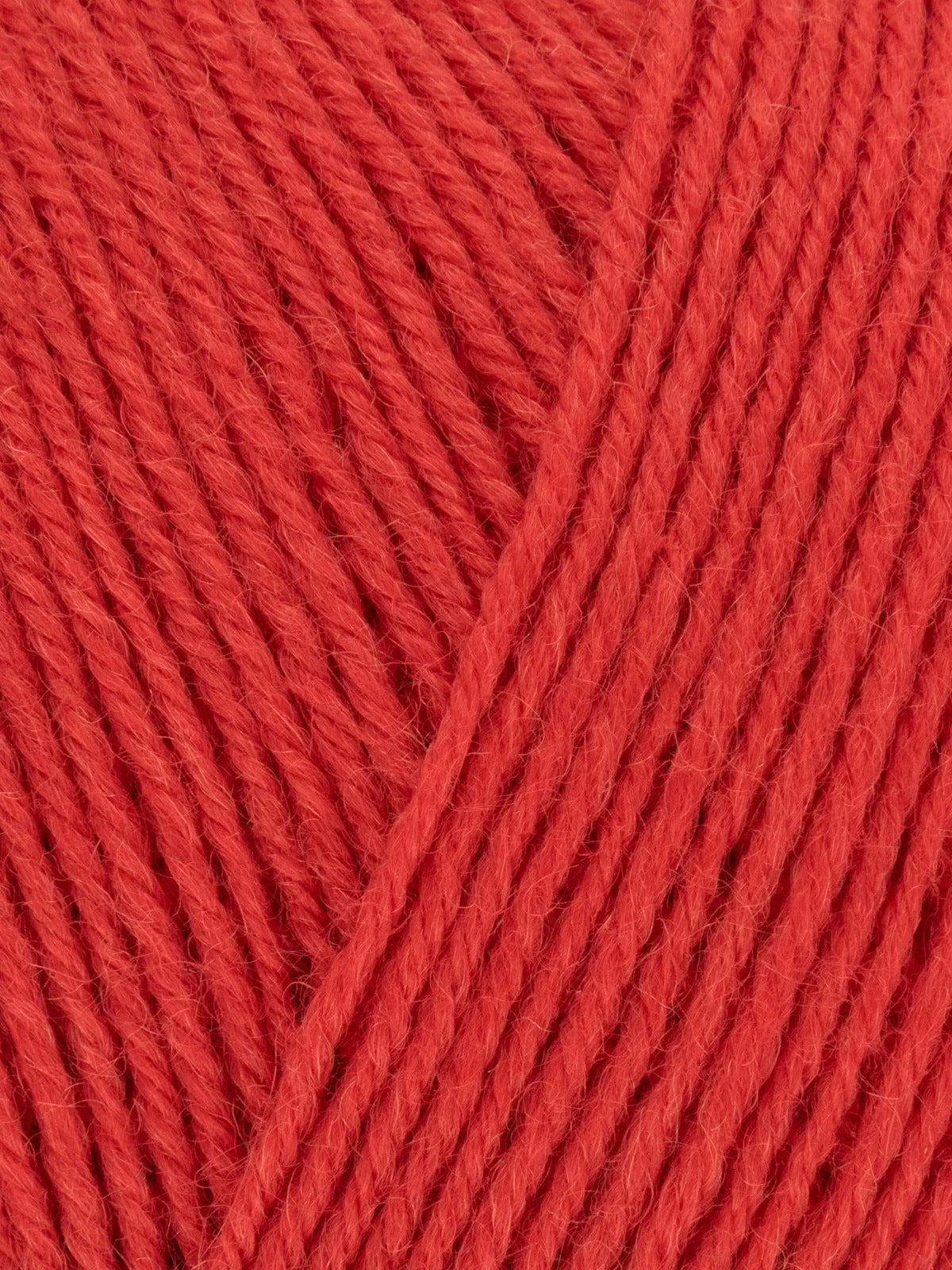 Signature 4 ply