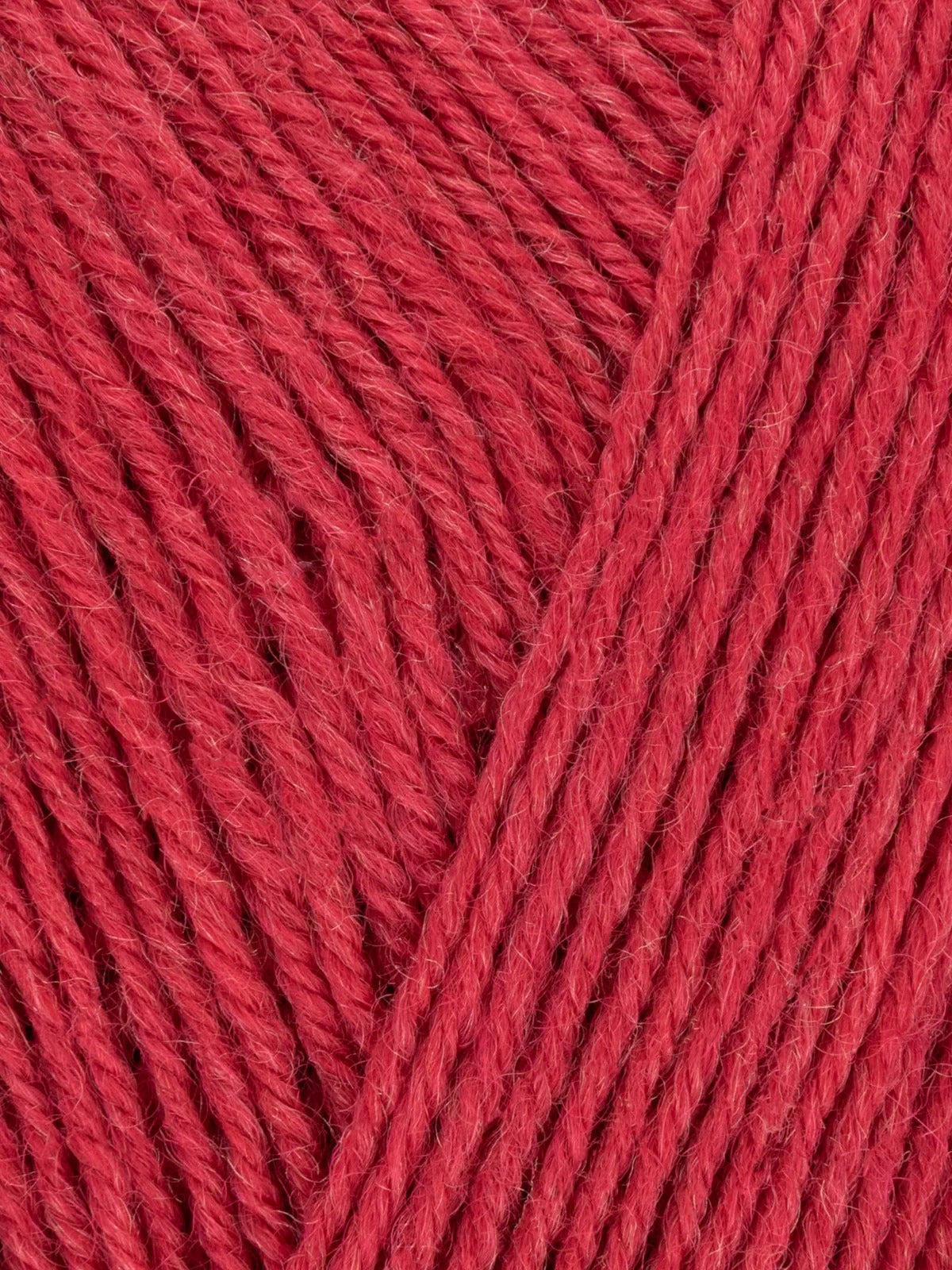 Signature 4 ply