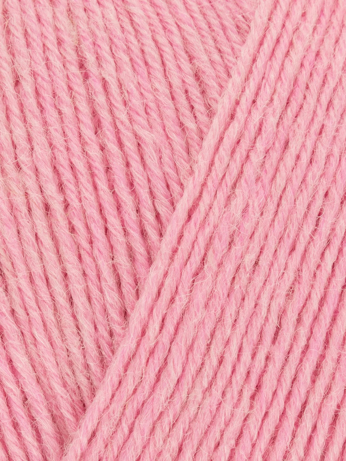 Signature 4 ply