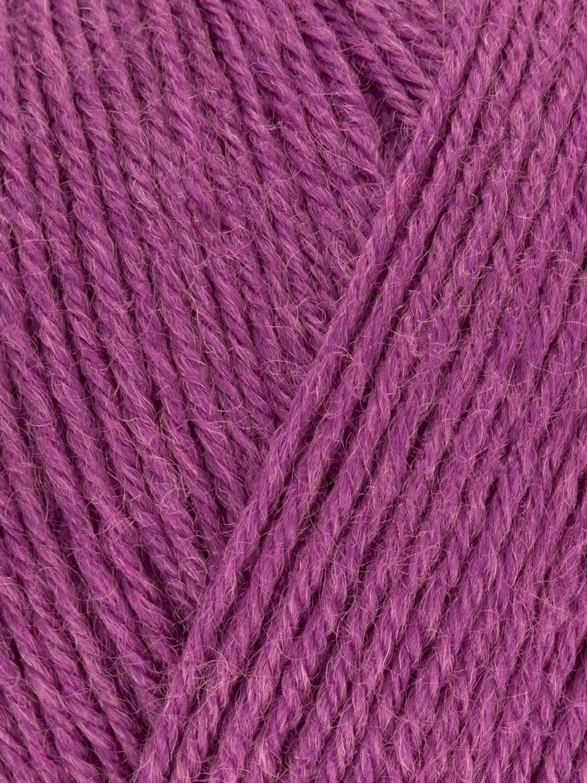 Signature 4 ply