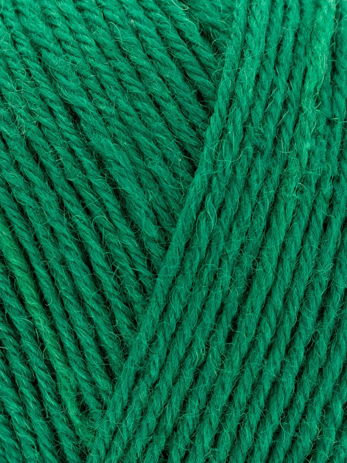 Signature 4 ply