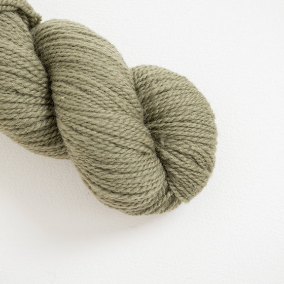 Romney Merino