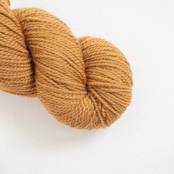 Romney Merino