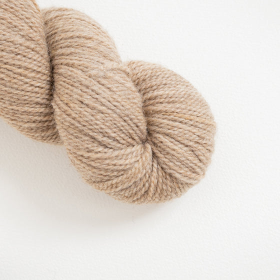 Romney Merino