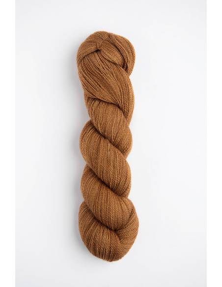 Mayu Lace