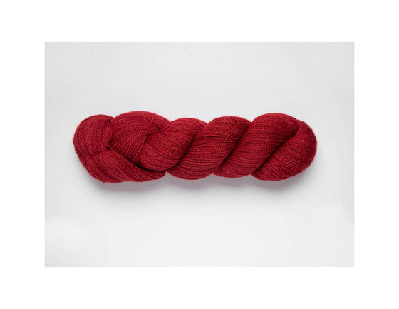 Mayu Lace