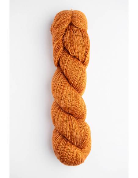 Mayu Lace