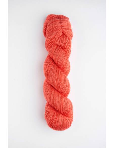 Mayu Lace