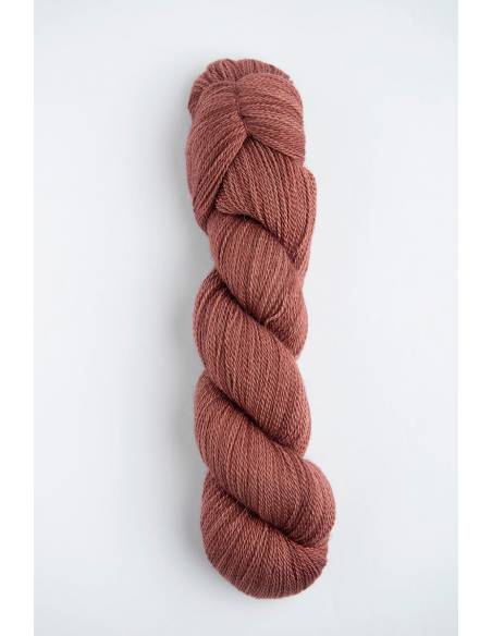 Mayu Lace