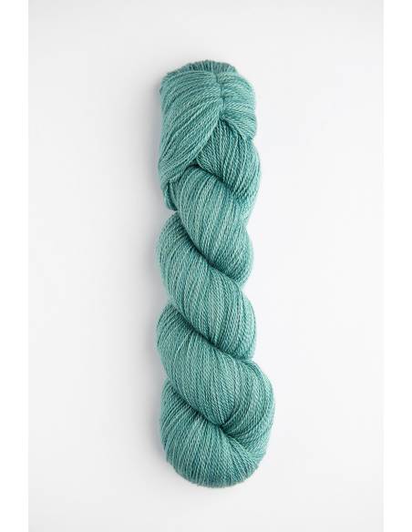 Mayu Lace