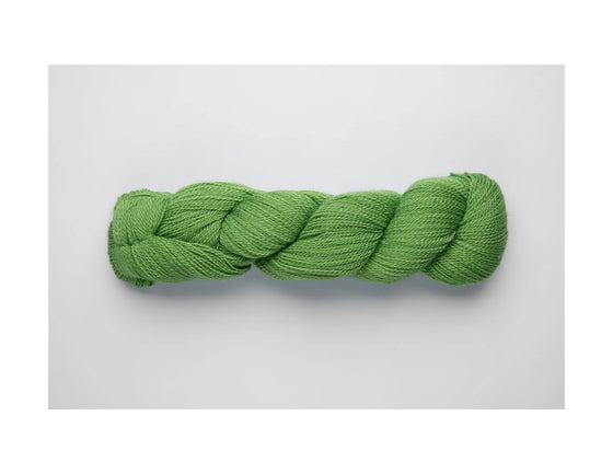 Mayu Lace